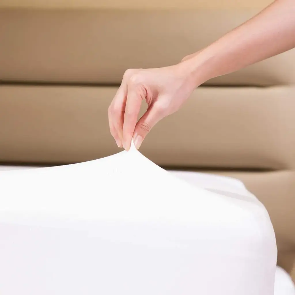 Fitted Bedsheet Glace Cotton 300 TC - Plain - White